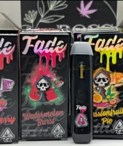 Fade Honey Buns Disposable